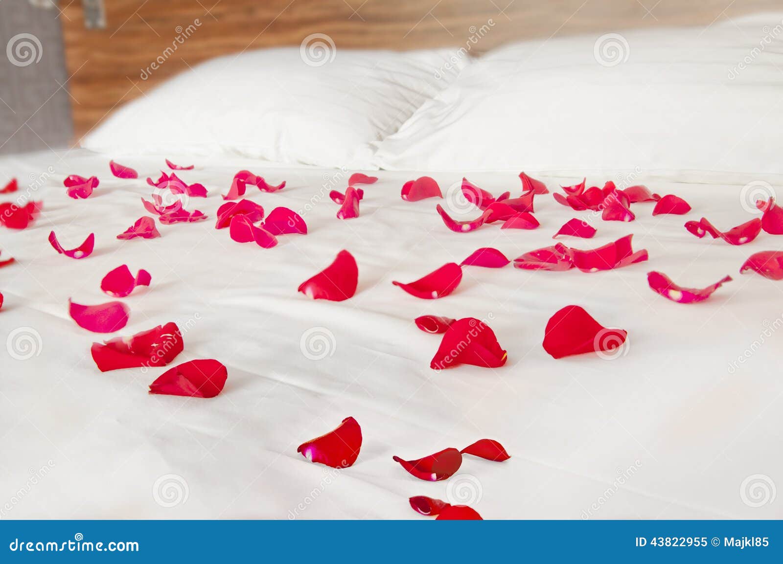 Rose Petals on White Bedding Romantic Bedroom Scenery Stock Image