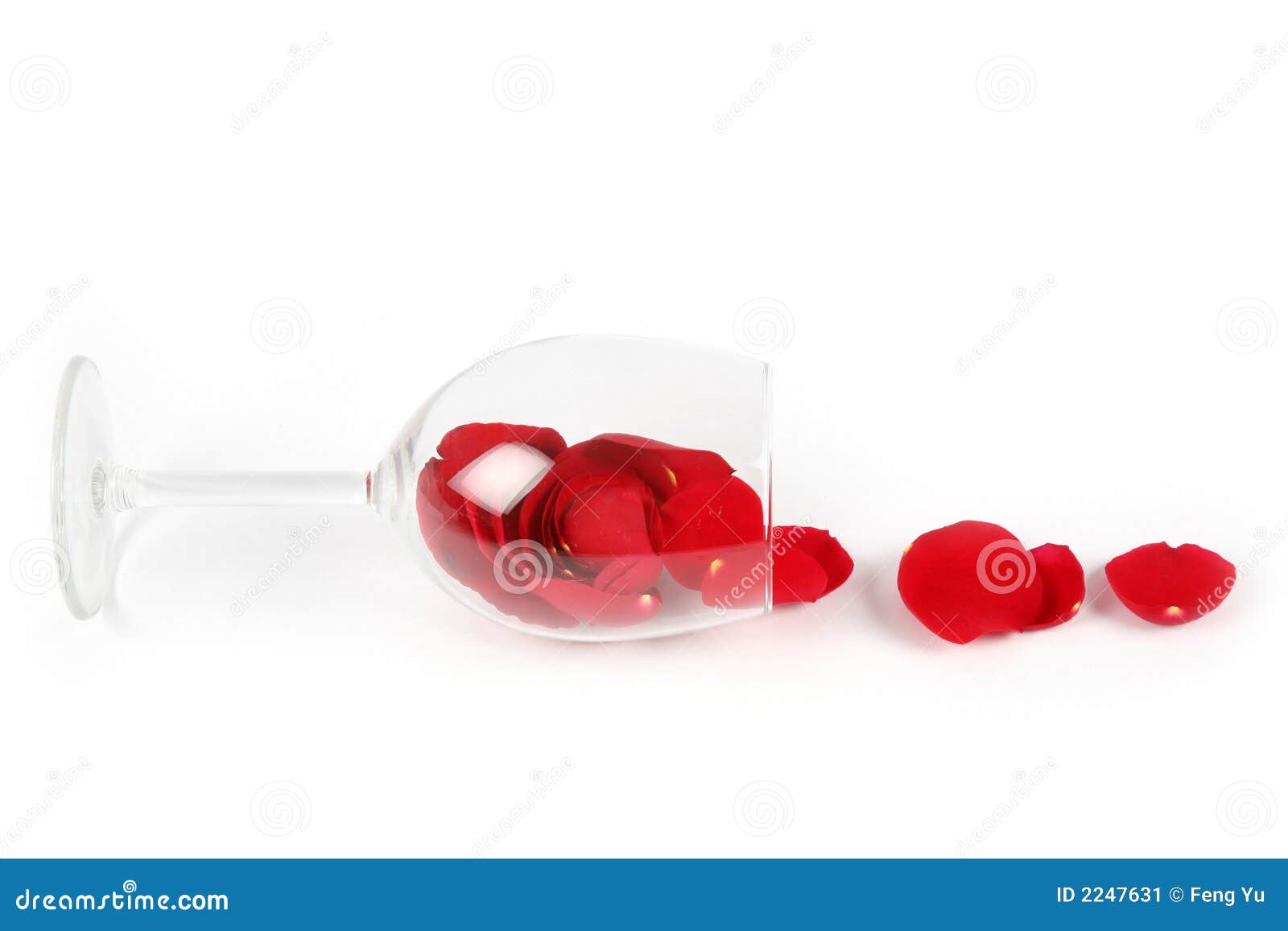 Rose Petals in a Wine Glass Stock Image Image of leaf, leaves 2247631