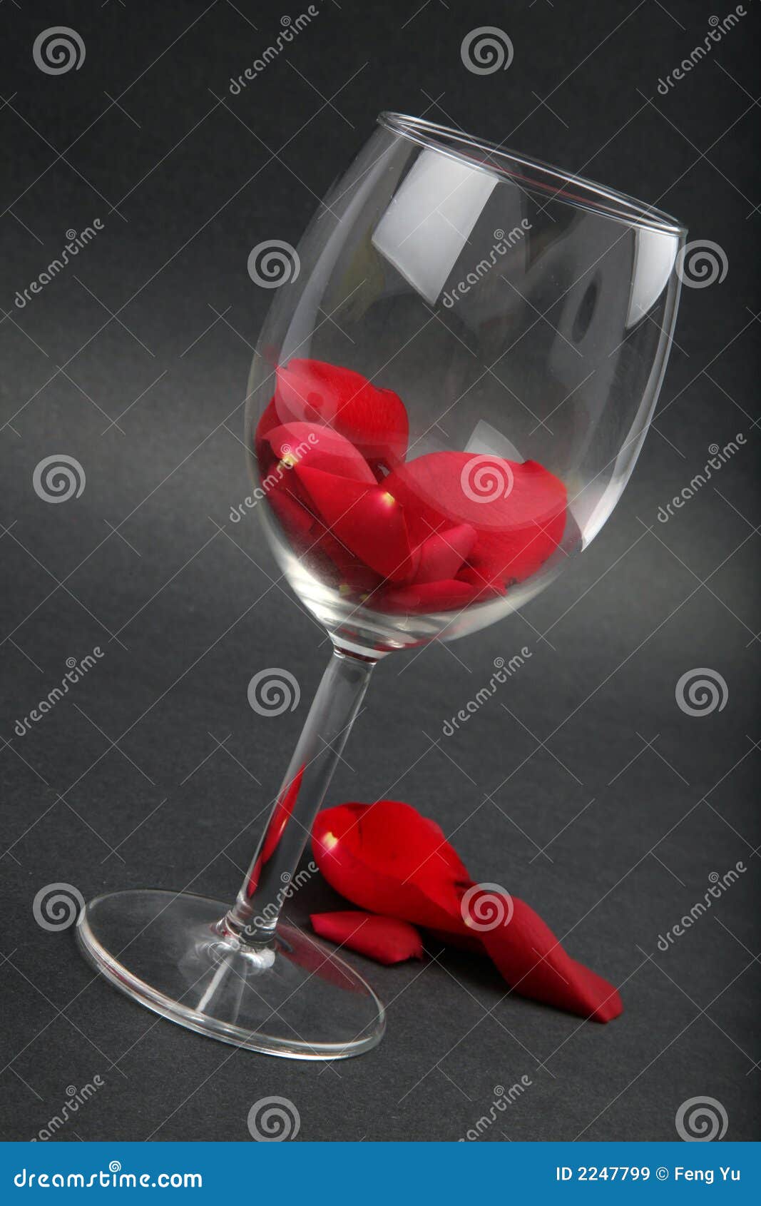 Rose Petals in a Wine Glass Stock Image Image of softness, romance