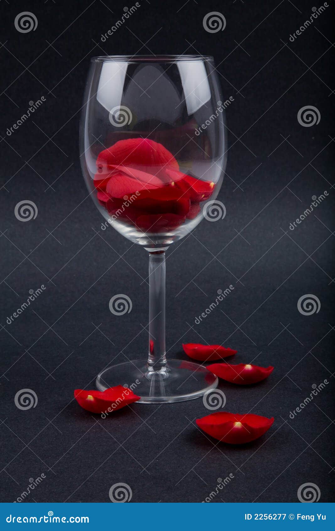 Rose Petals in a Wine Glass Stock Image Image of enjoyment, wineglass