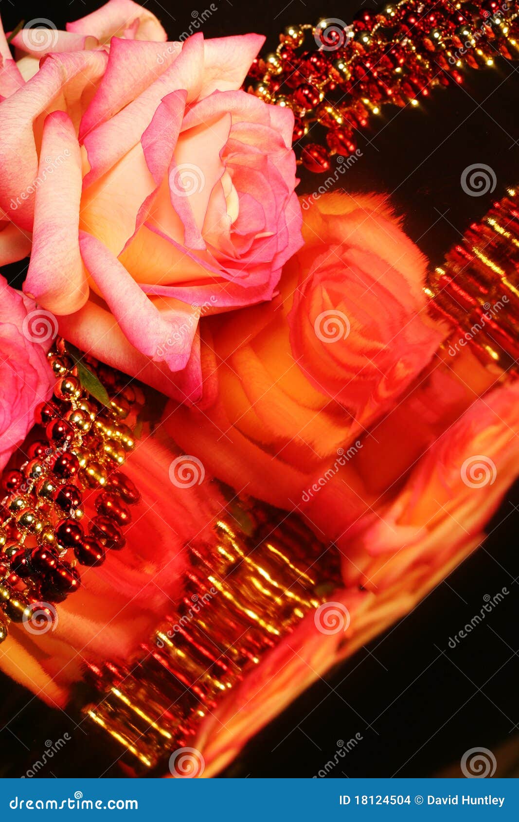 Rose r3fléchissante. Le rose rose ou la fleur sur la surface r3fléchissante avec le rouge et l'or perle pour n'importe quelles vacances de fête telles que le jour de Valentines ou le Mothersday
