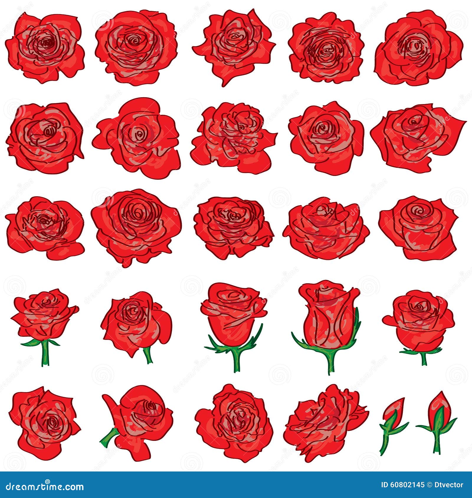 Rose red drawing line set stock vector. Illustration of background ...