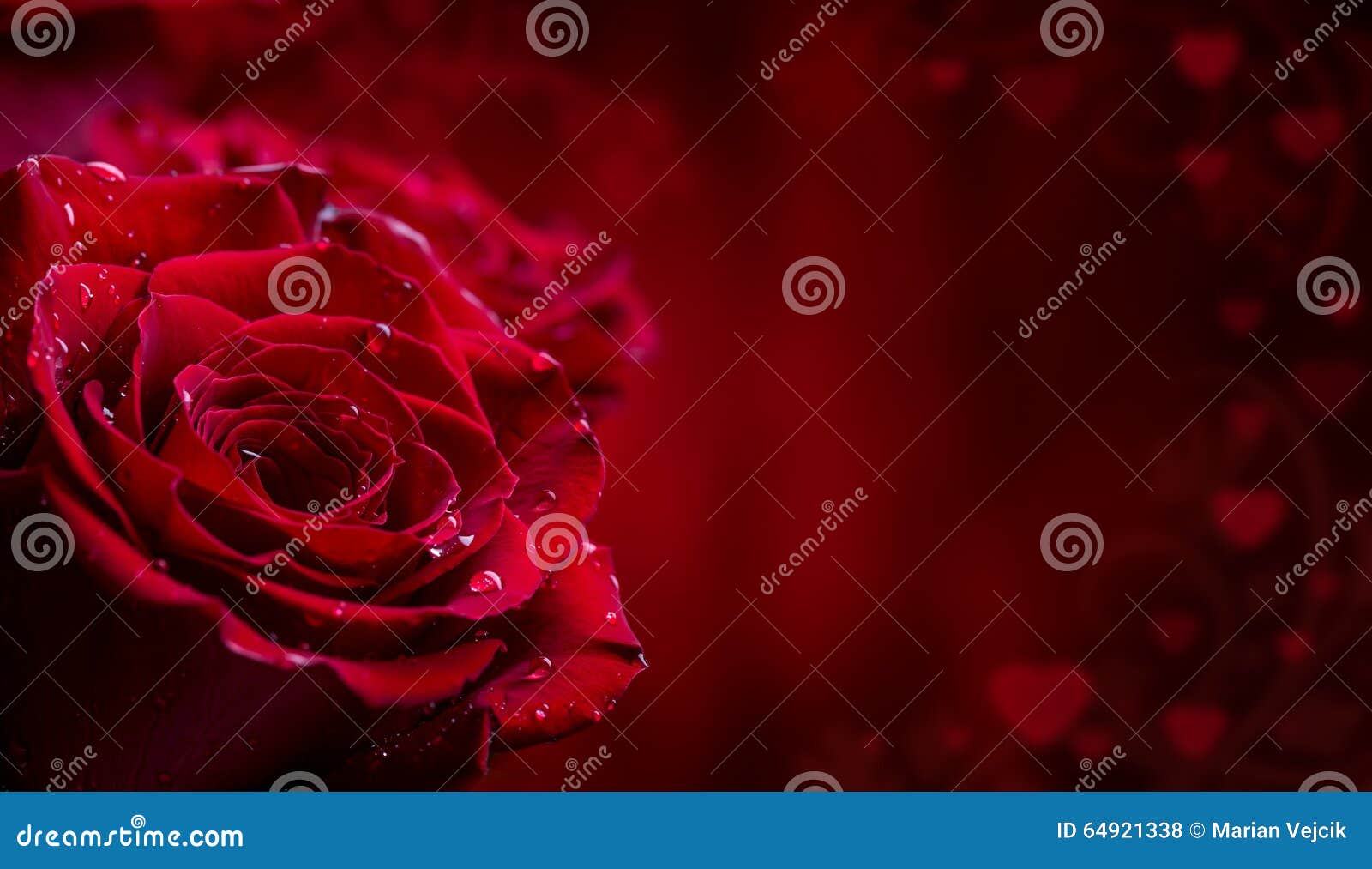 rose. red roses. bouquet of red roses. several roses on granite background. valentines day, wedding day background.