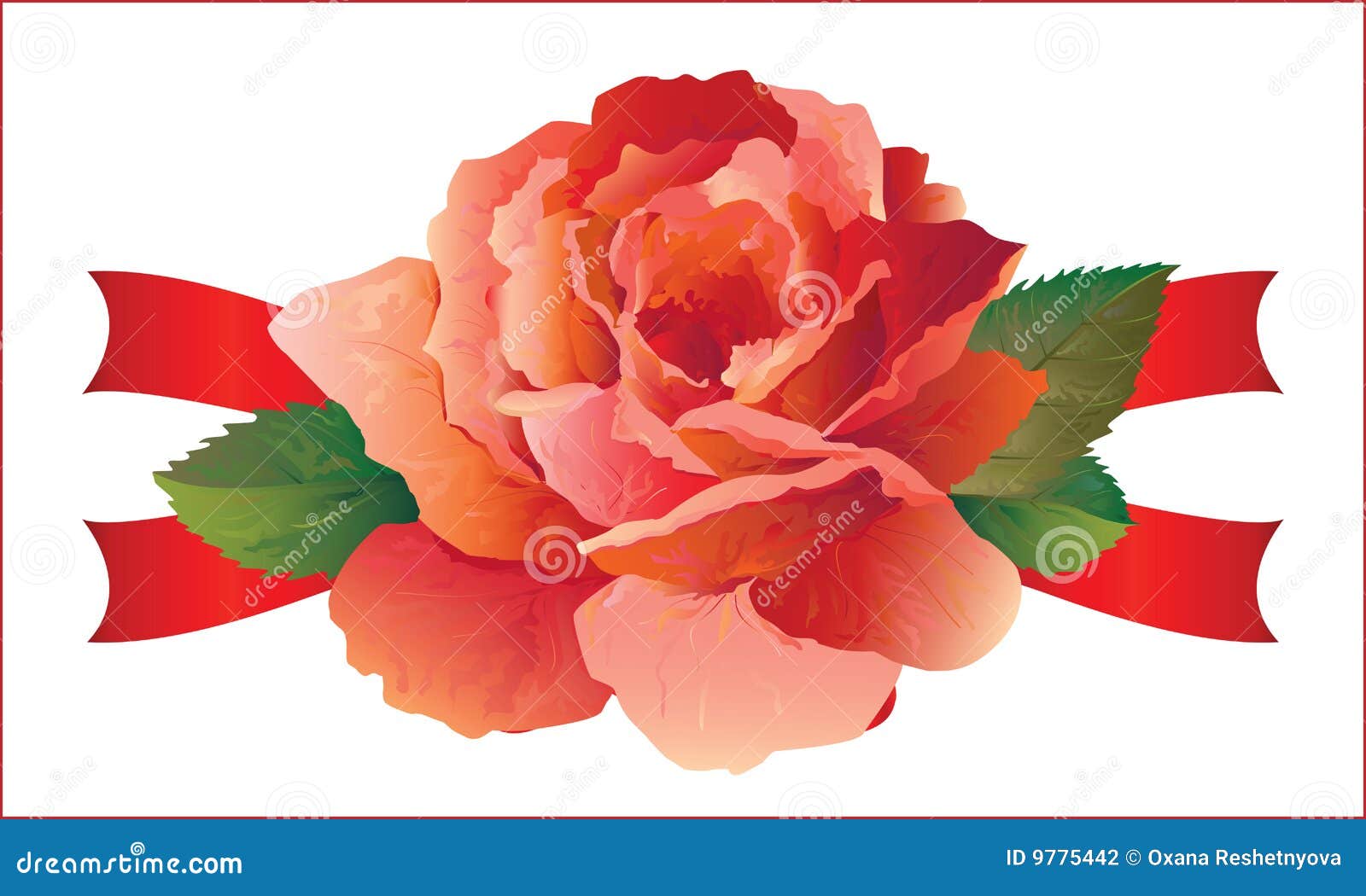 Rose with ribbons stock vector. Illustration of celebration 9775442