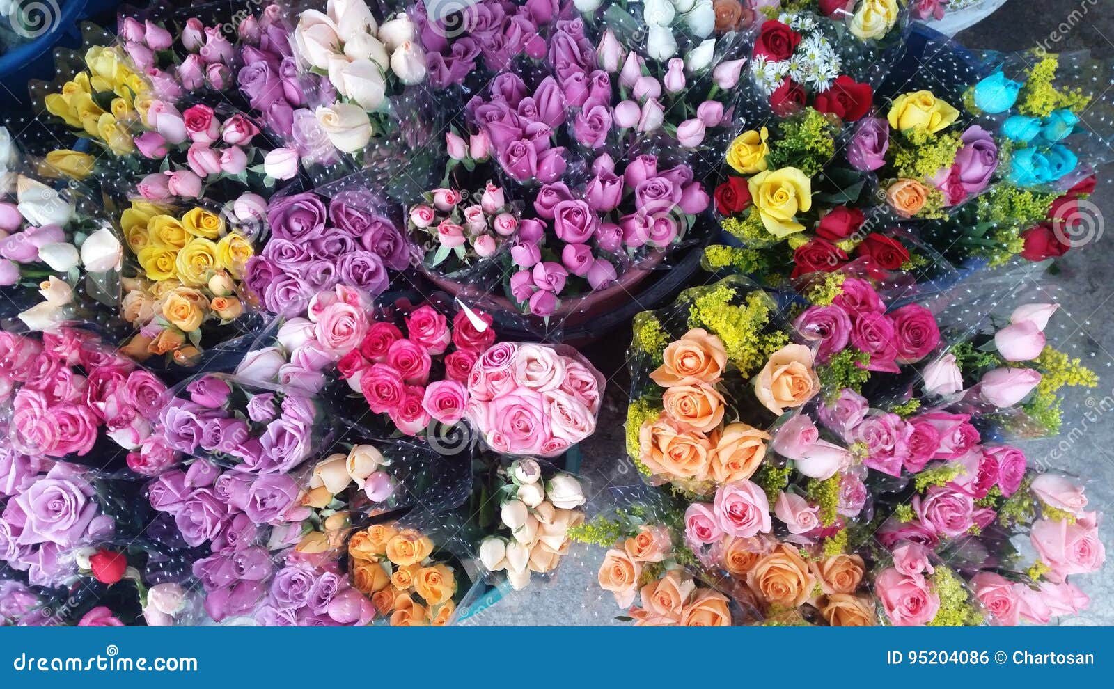 Rose selling stock photo. Image of roses, shop, violet 95204086