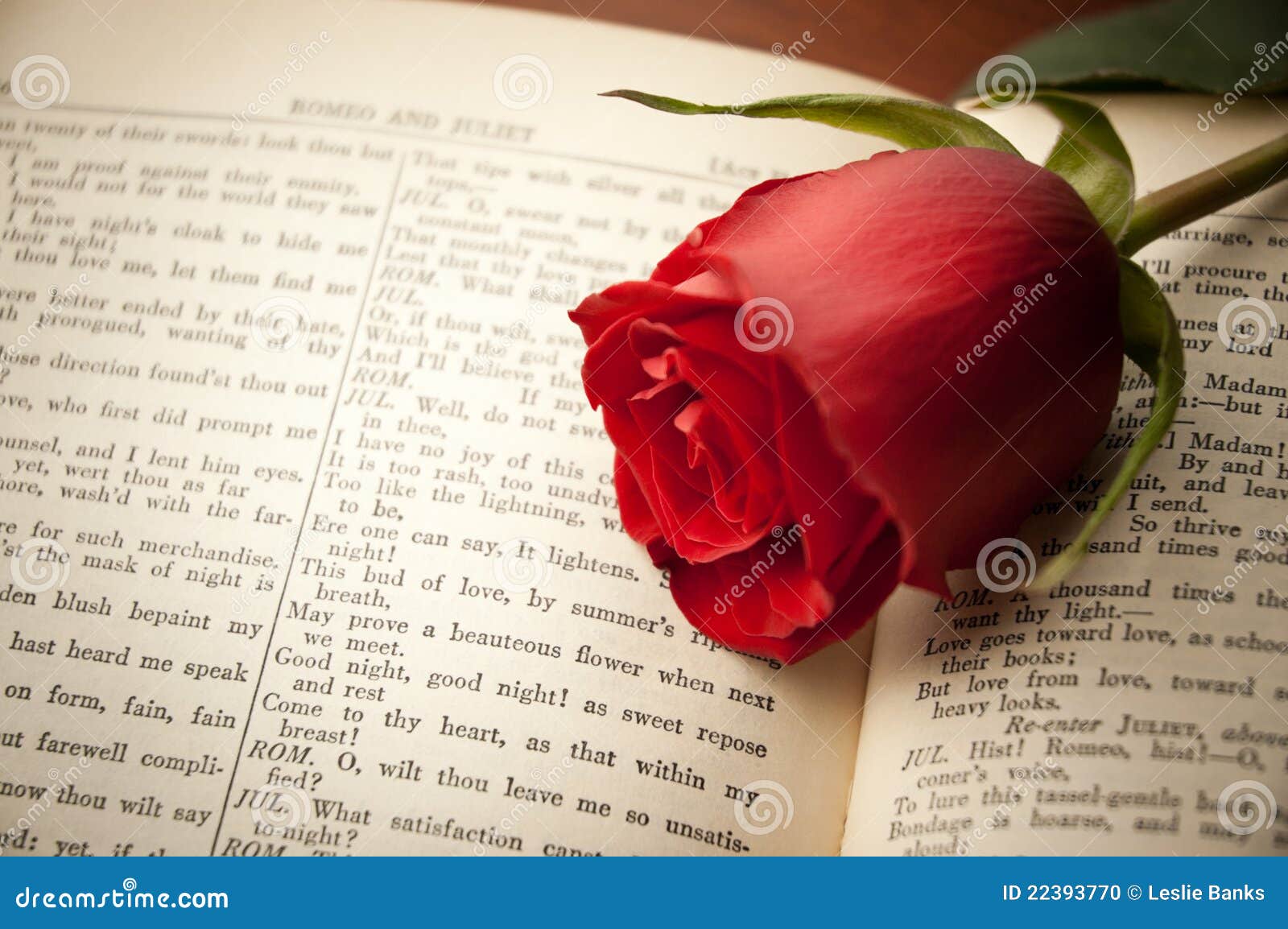 war of the roses shakespeare download free war of the roses shakespeare download free
