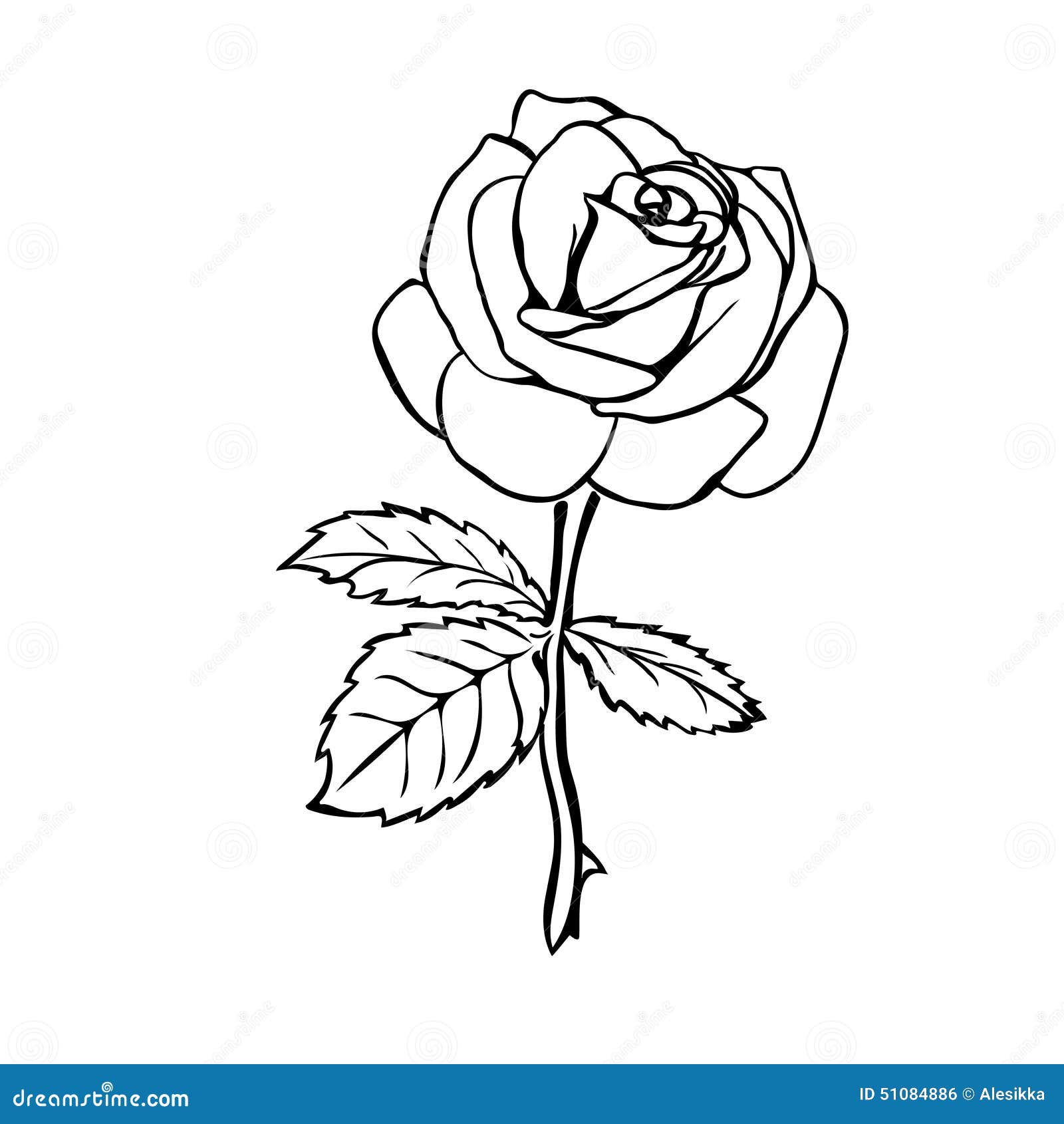 Rose sketch. stock illustration. Illustration of element - 51084886
