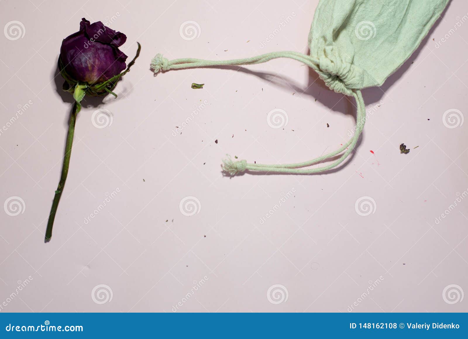 Rose and a small bag stock photo. Image of petal, female - 148162108