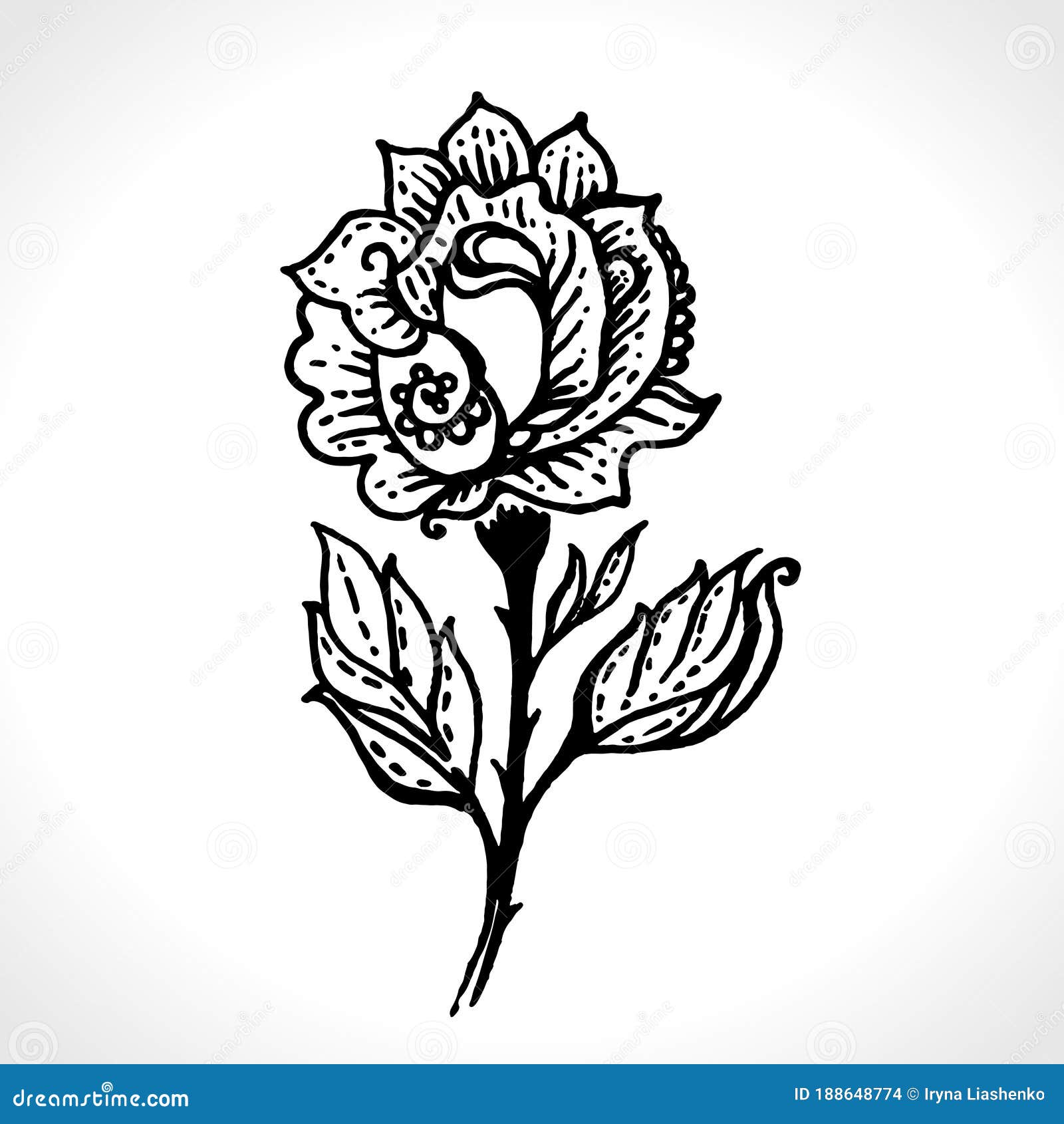 Blooming rose tattoo located on the inner forearm