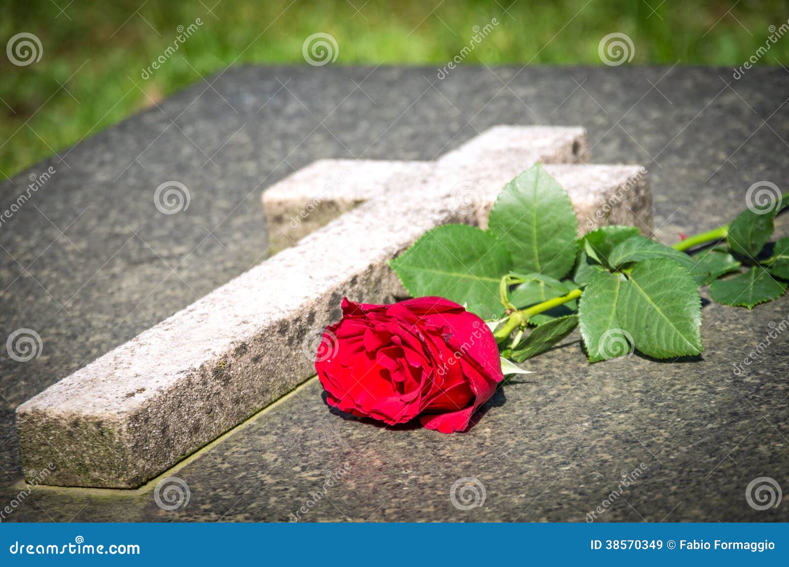 Rose on a tomb stock image. Image of sympathy, condolence 38570349
