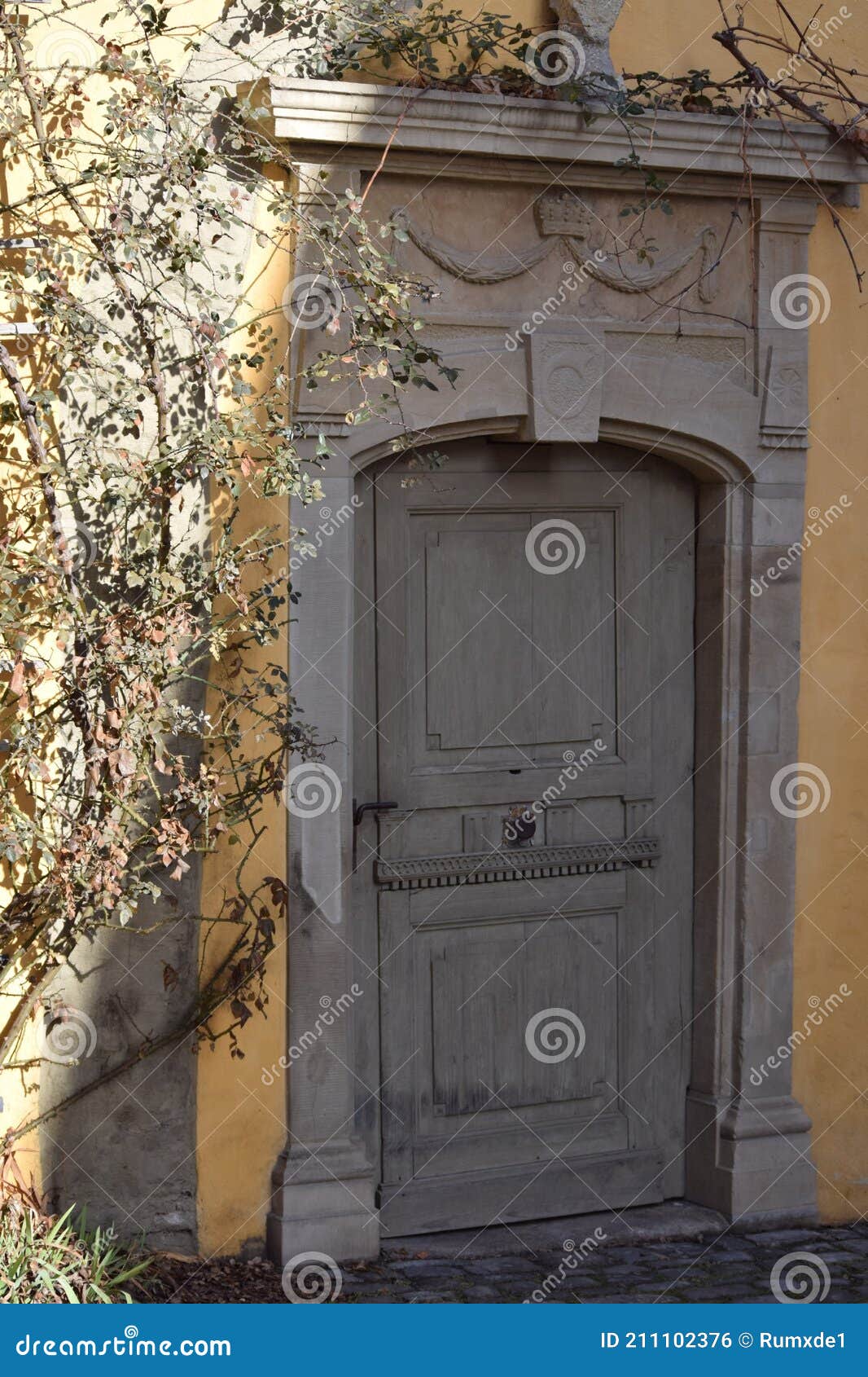 Rose Trellises in the Bright Sunlight Stock Photo Image of door