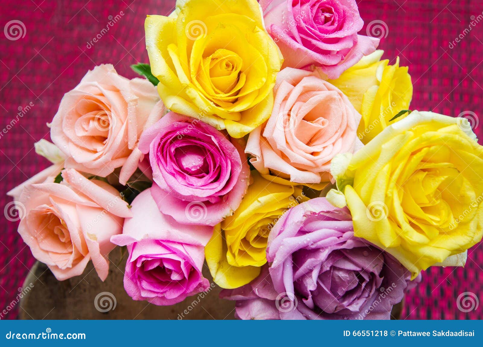 Rose & Valentine s day stock photo. Image of closeup - 66551218