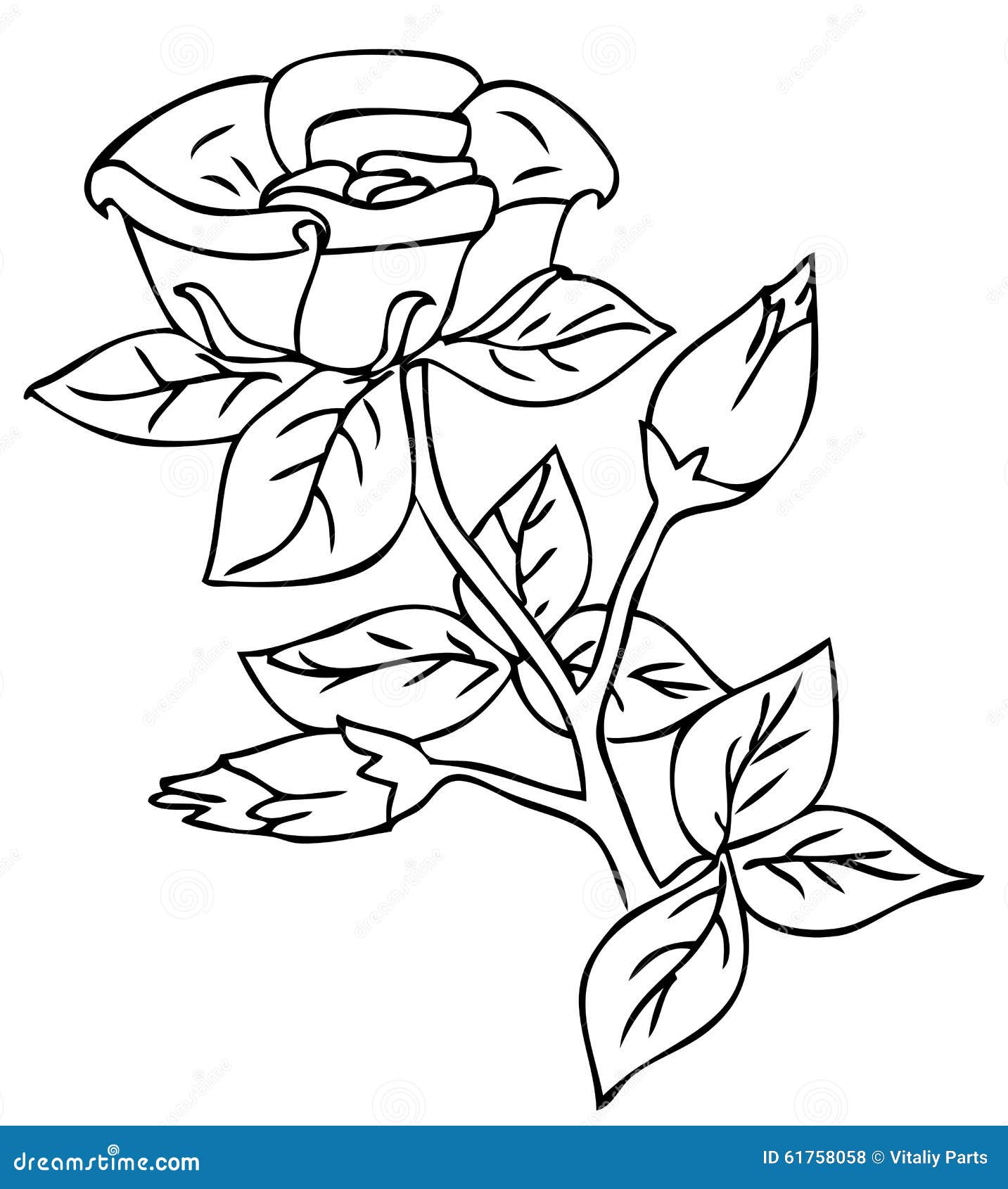 Rose stock illustration. Illustration of rose, drawing - 61758058