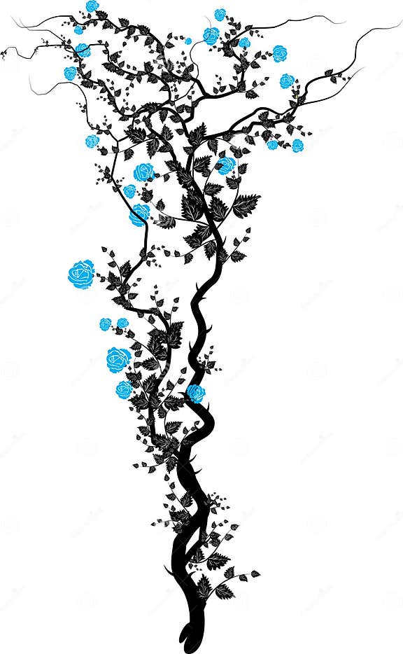 Rose vines10 stock vector. Illustration of flower, creepers 10786920