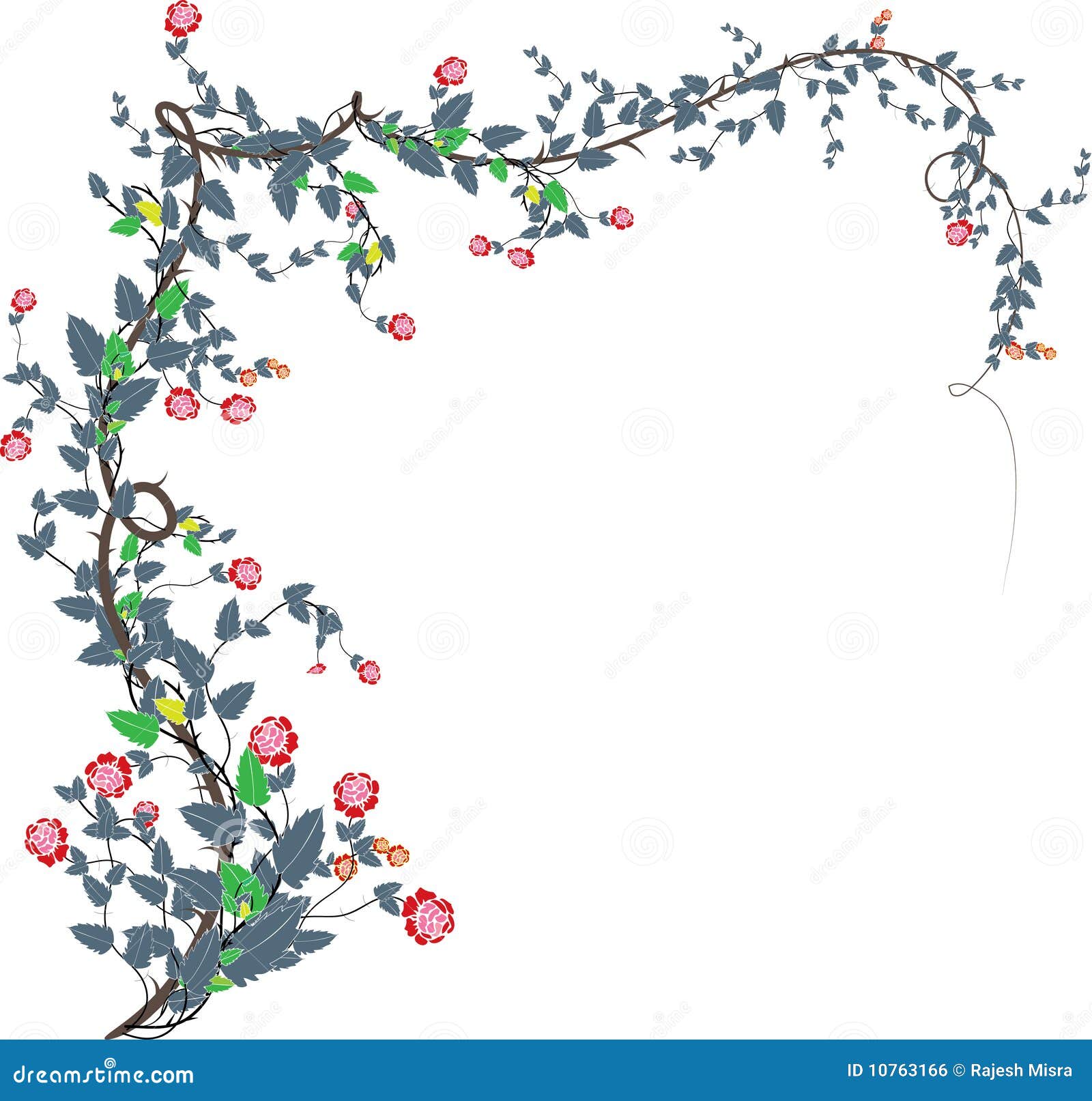 Rose vines2 stock illustration. Illustration of rose 10763166