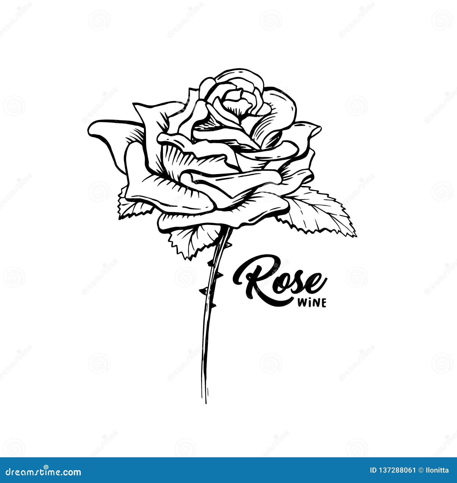 Rose Flower Hand Drawn Ink Pen Illustration Stock Vector - Illustration Of  Outline, Emblem: 137288061