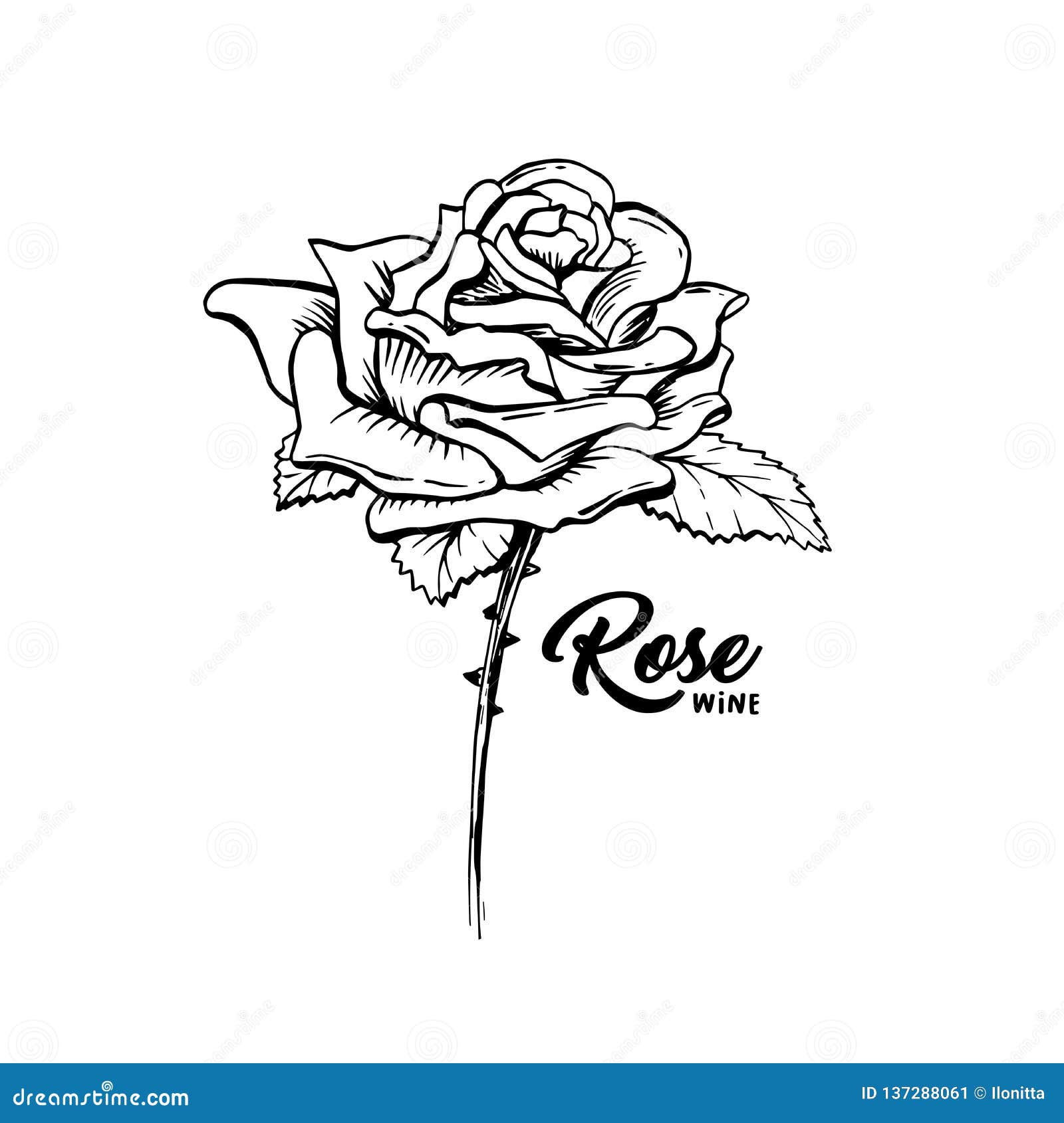 Rose Flower Hand Drawn Ink Pen Illustration Stock Vector - Illustration of outline, emblem: 137288061 Rose Flower Hand Drawn Ink Pen Illustration Stock Vector - Illustration Of Outline, Emblem: 137288061