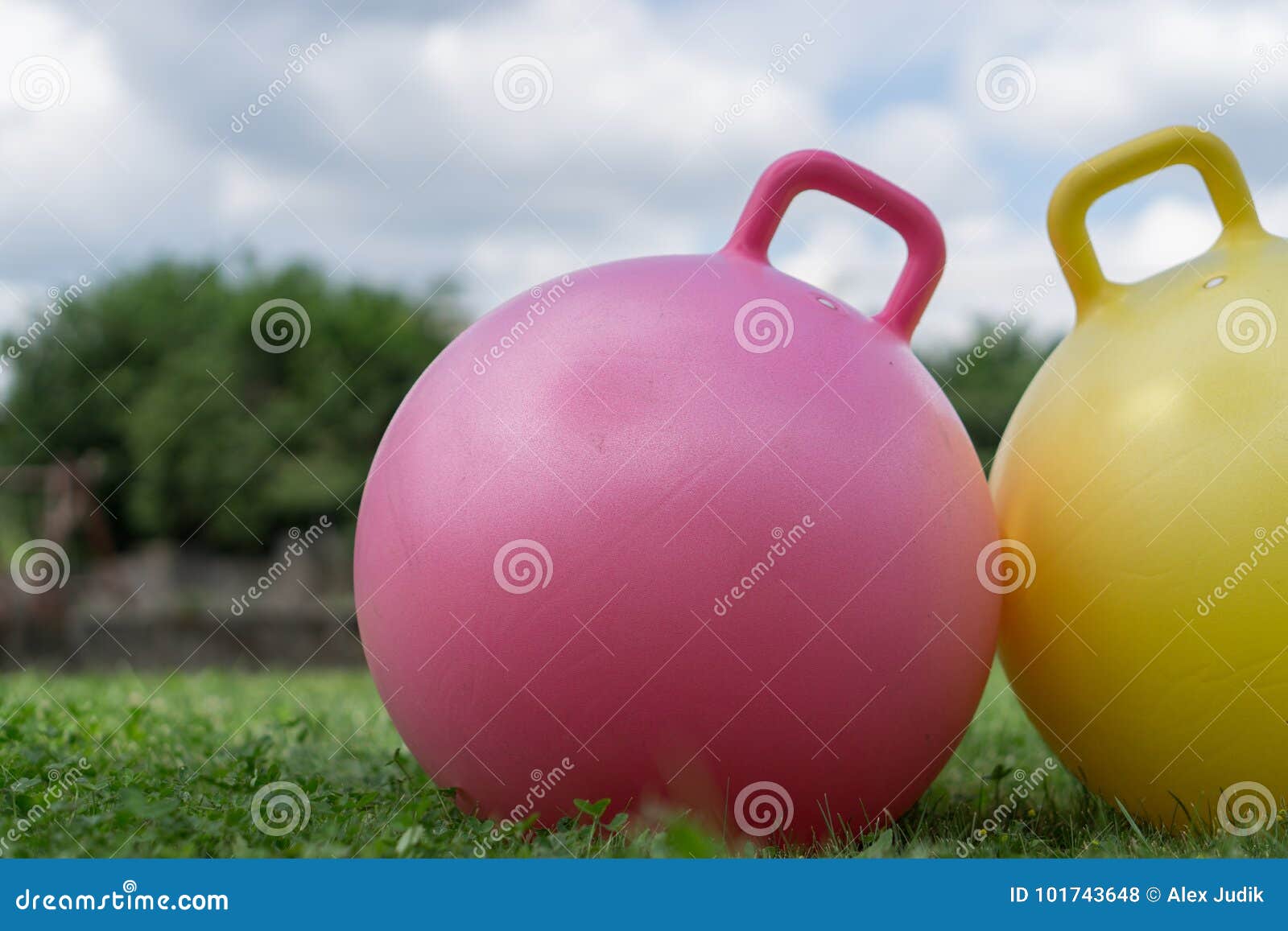 Rose and Yellow Rubber Ball Stock Photo Image of move, leisure 101743648