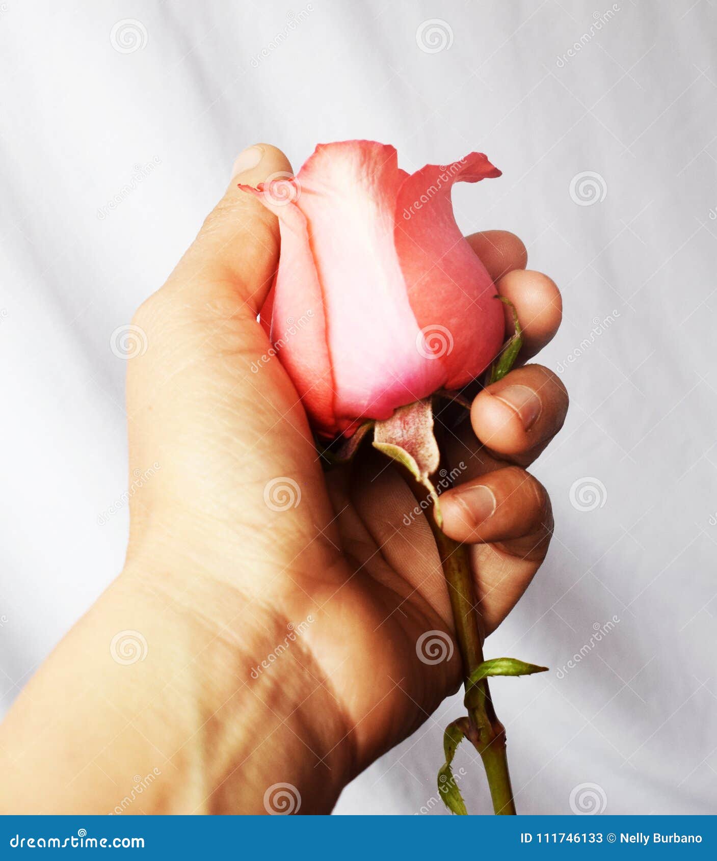 a rose in your hand