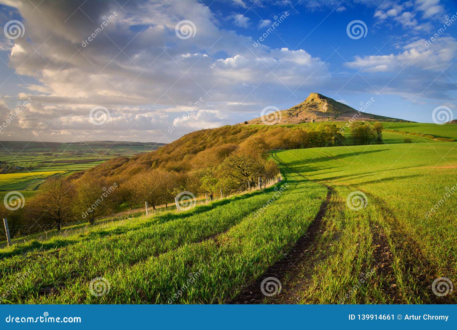 roseberry topping in green, england