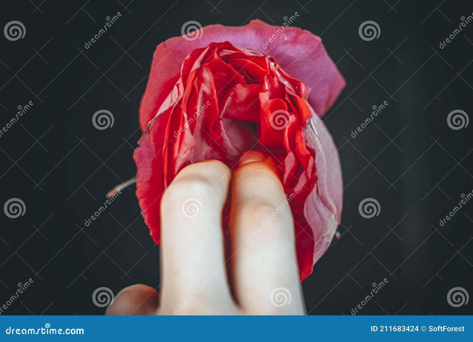 Völlig Natürliche Tori Black Fingersatz rosa vagina in der solo video