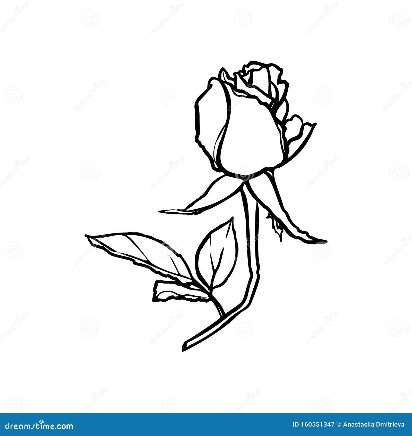 Rosebud Line Drawing. Vector Outline Flower In A Trendy