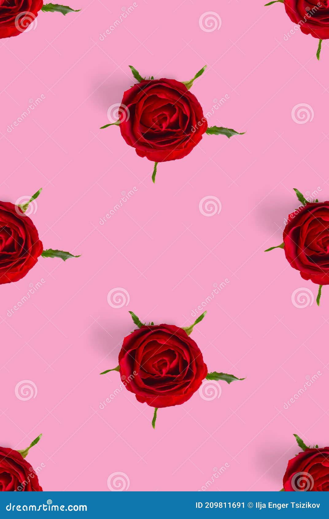 Rosebud Seamless Pattern. Head of Rose Bloom Isolated on White Pattern ...