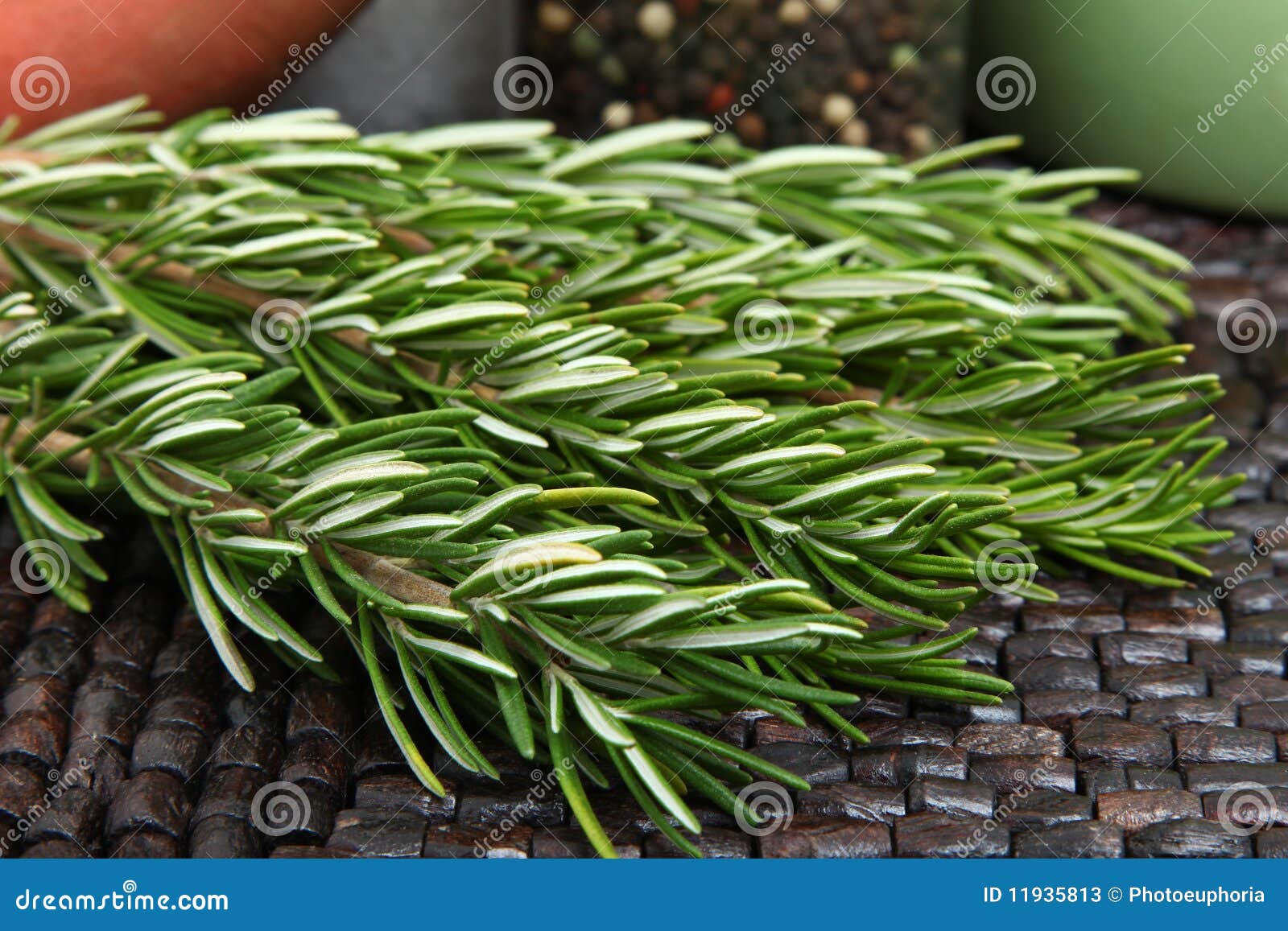Rosemary imagen de archivo. Imagen de sabor, ramificaciones 11935813