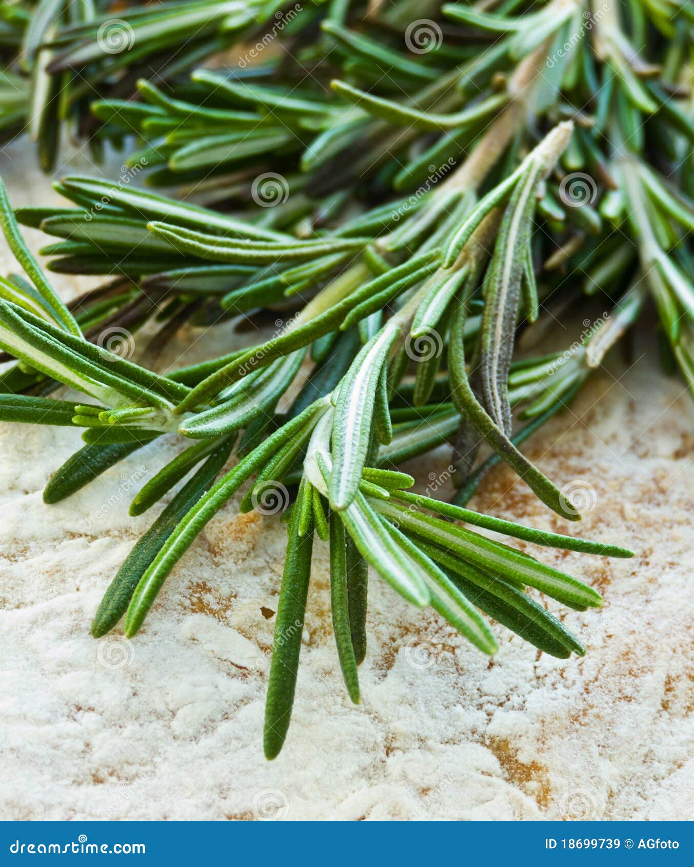 Rosemary stock image. Image of leaf, scented, white, rosemary 18699739