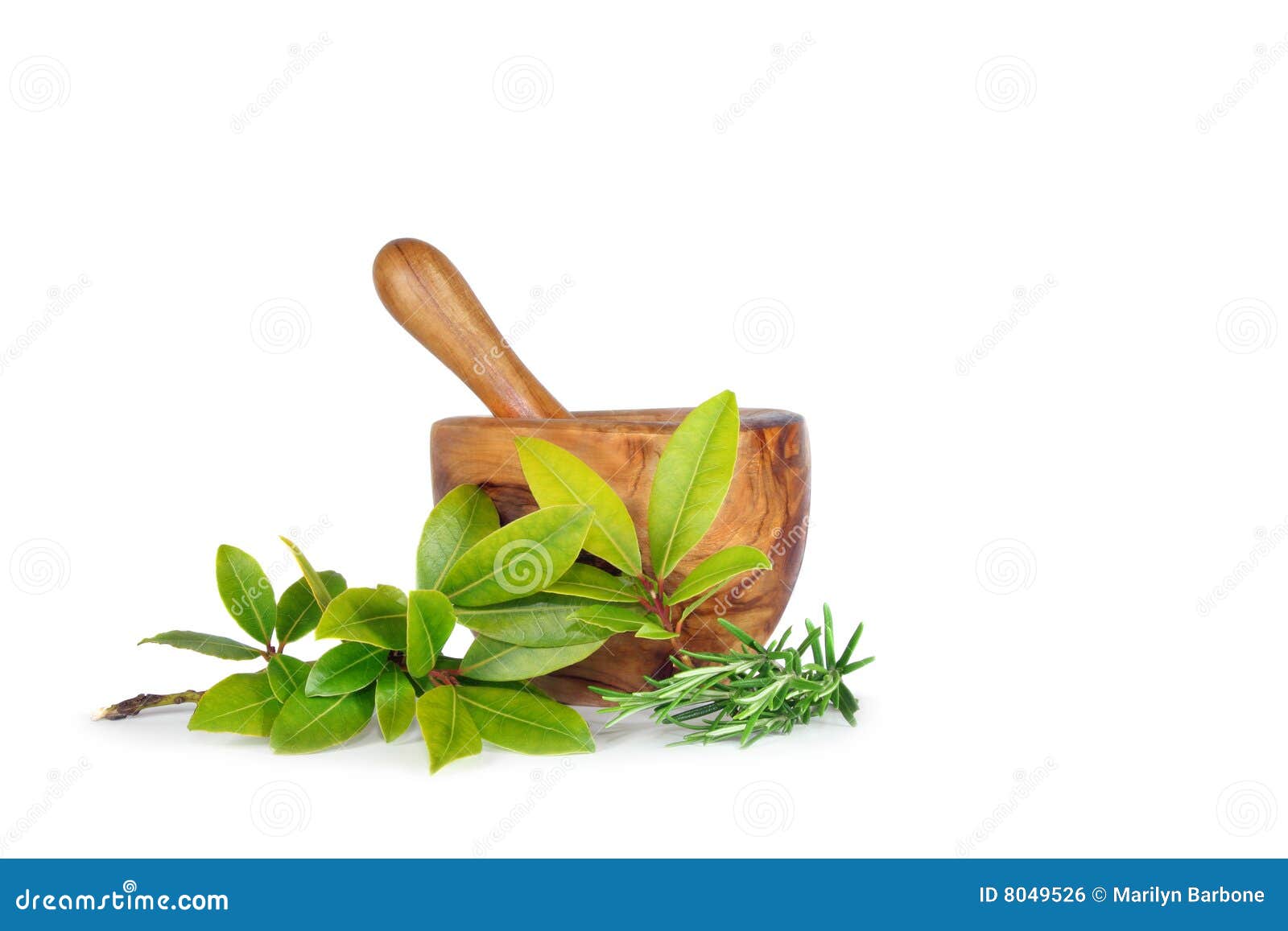 Rosemary and Bay Herb Leaves Stock Photo Image of botanical