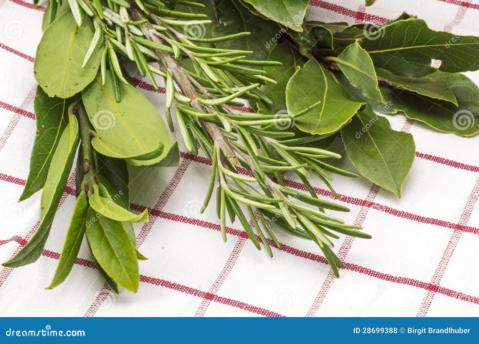 Rosemary and bay leaf stock photo. Image of rosemary 28699388