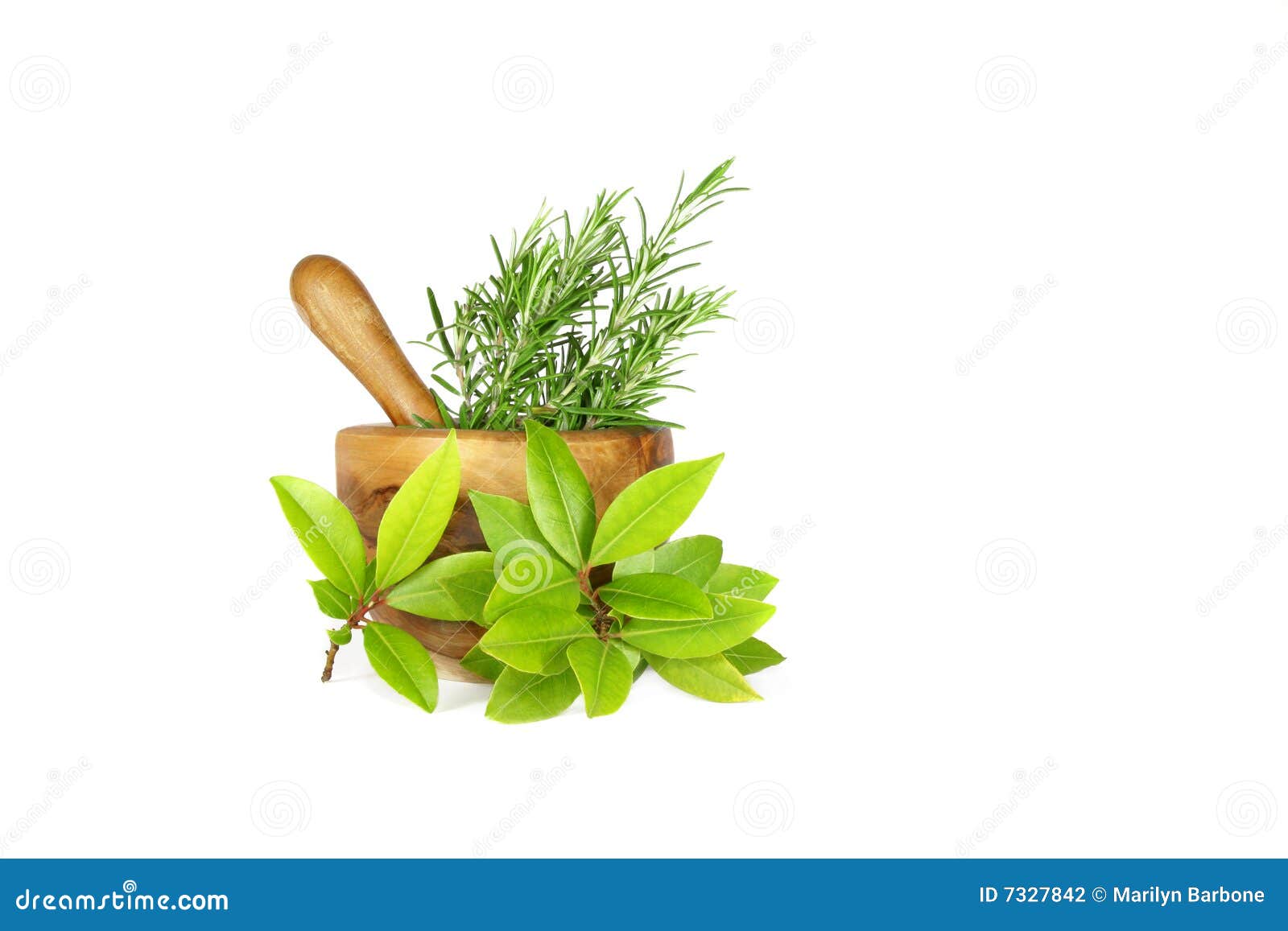 Rosemary and Bay Leaf Herbs Stock Photo Image of aroma, mortar 7327842