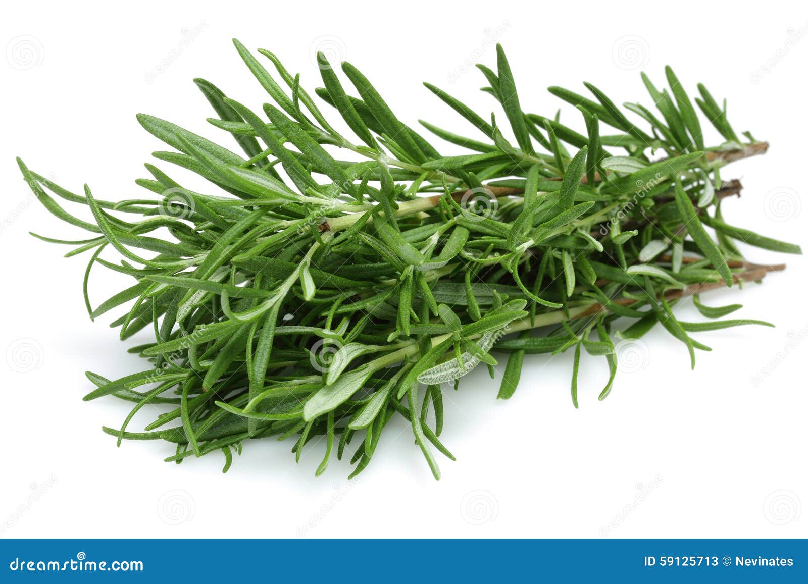 rosemary