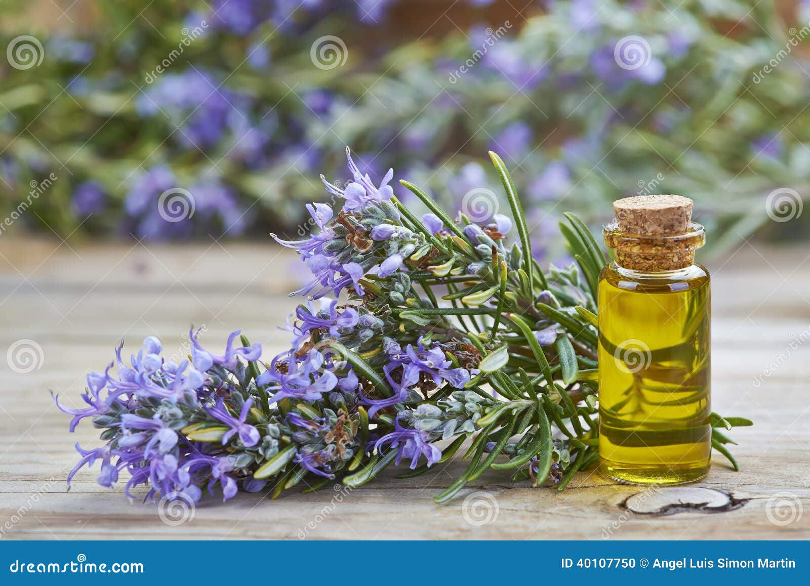 rosemary essential oil