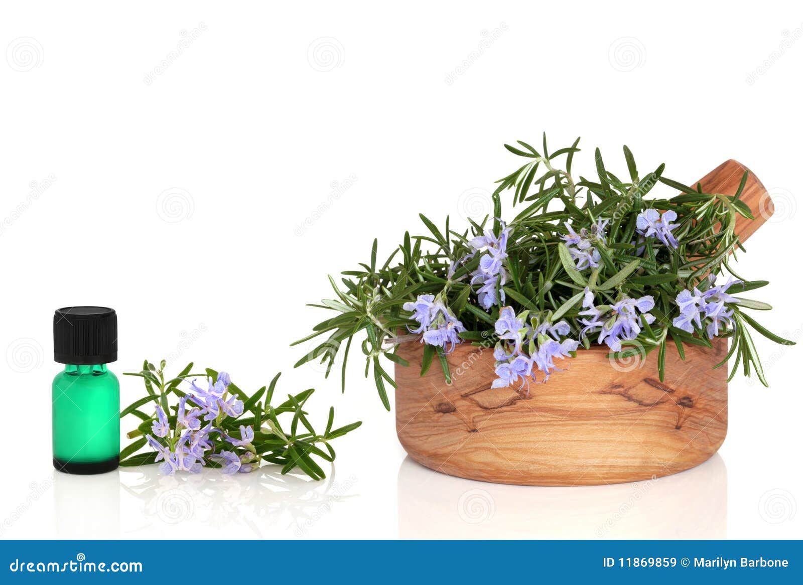 Rosemary Herb and Essence stock image. Image of medicinal 11869859