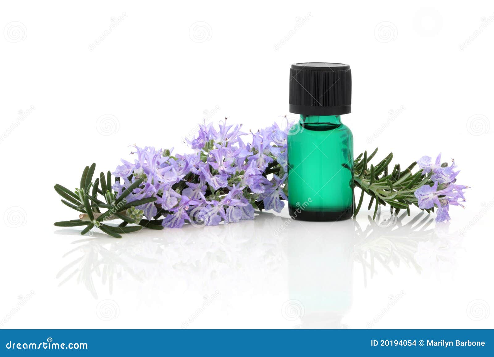 Rosemary Herb Essence stock photo. Image of medical, aromatherapy