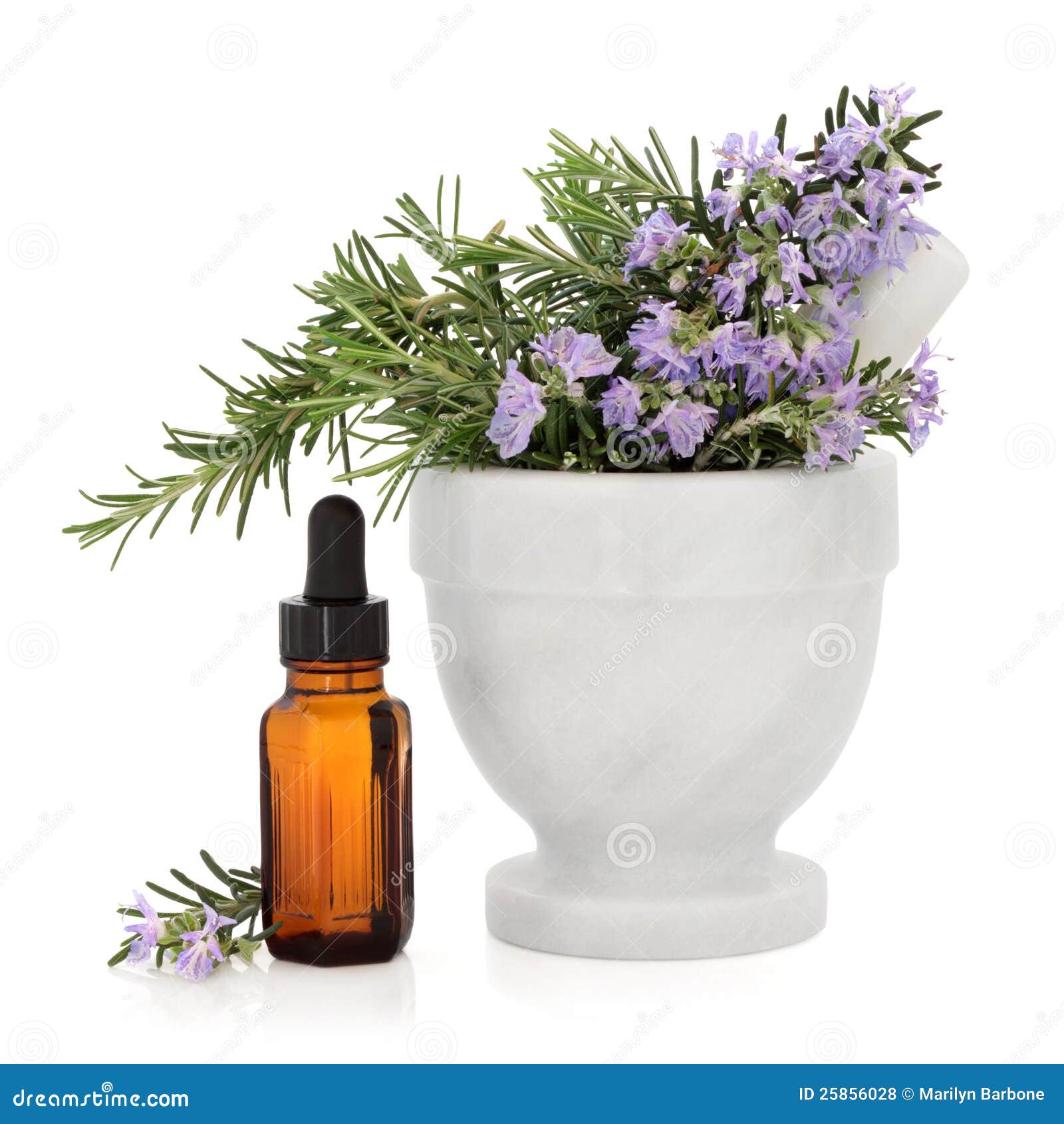Rosemary Herb Essence stock photo. Image of rosemary 25856028