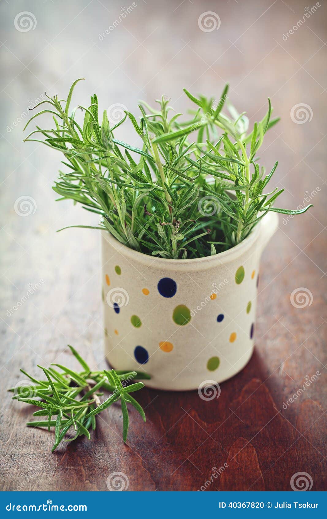 Rosemary herb stock photo. Image of leaves, flavor, botanical 40367820
