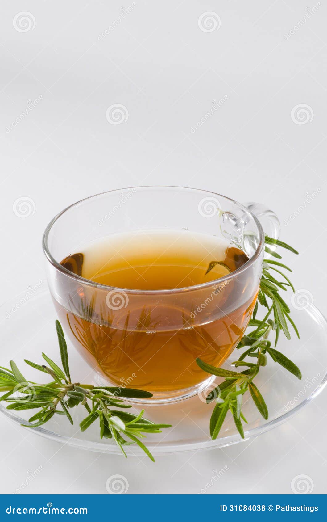 Rosemary Herbal Tea fotografia stock. Immagine di oggetto 31084038