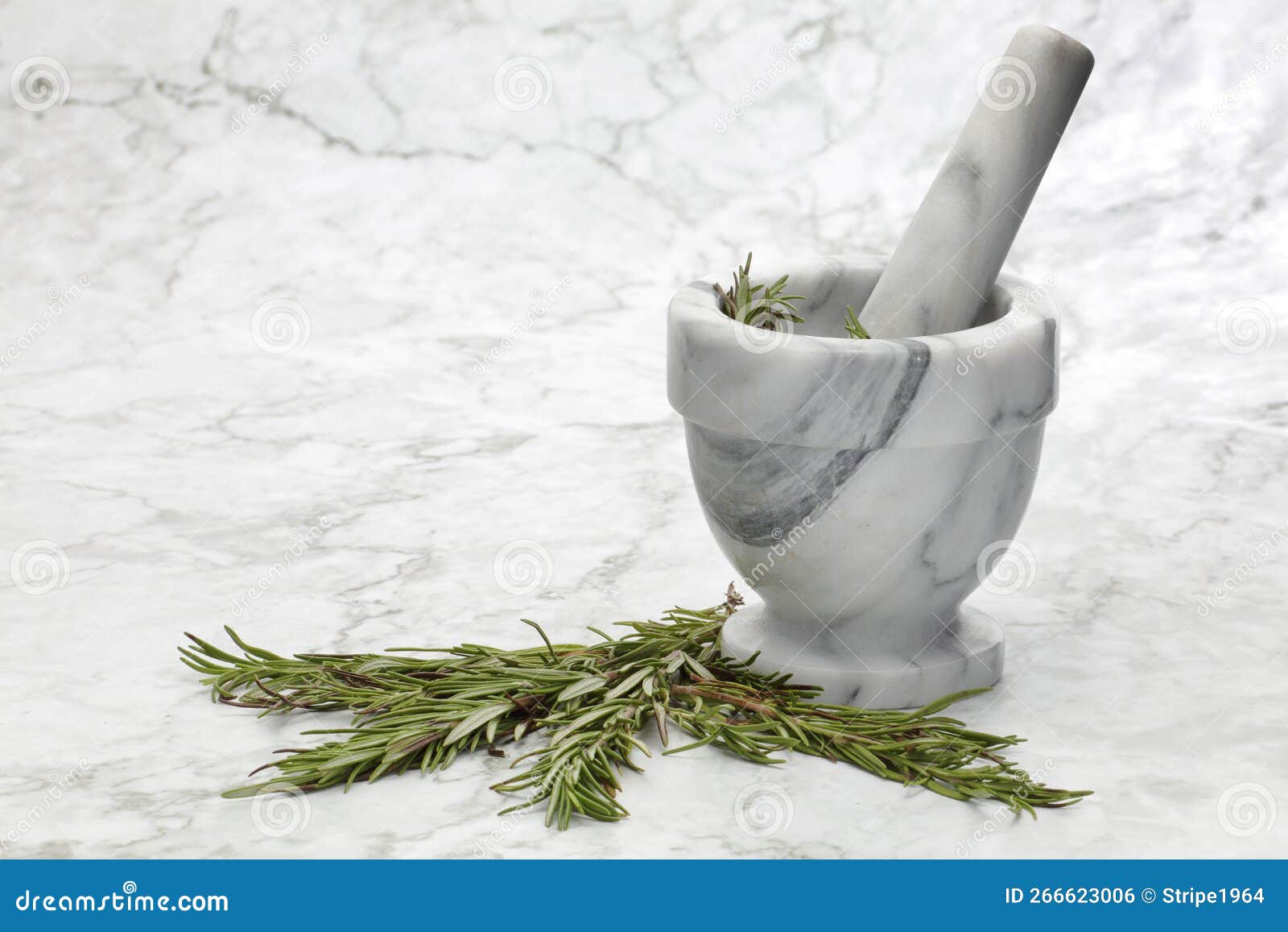 Rosemary Herbs and a Mortar and Pestle on Grey and White Marble Surface