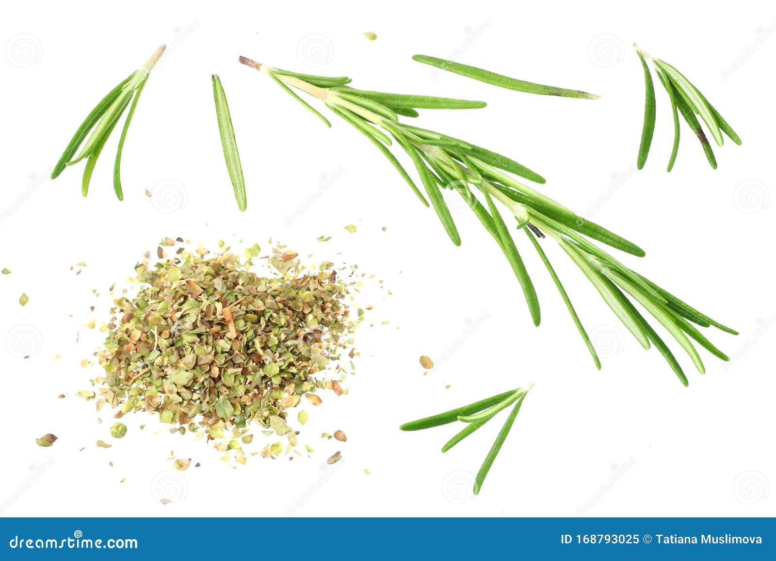 Rosemary Leaves with Dried Rosemary Isolated on White Background Stock