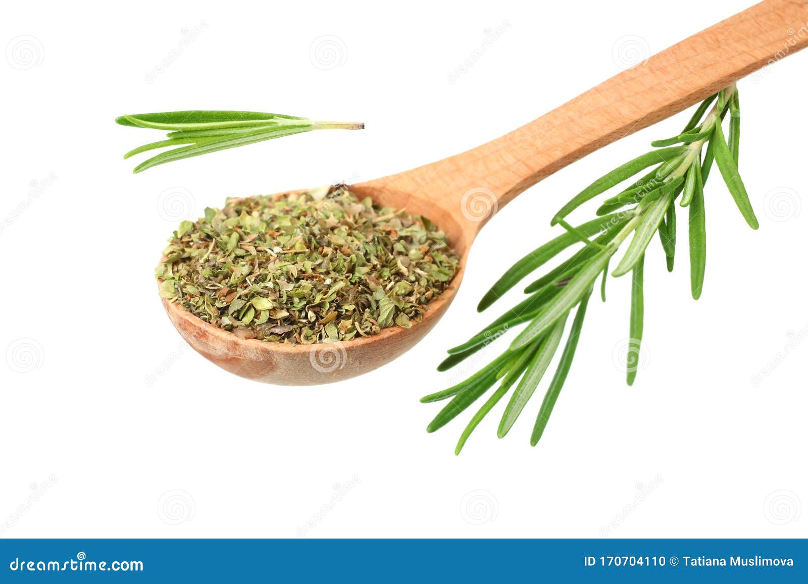 Rosemary Leaves with Dried Rosemary Isolated on White Background Stock
