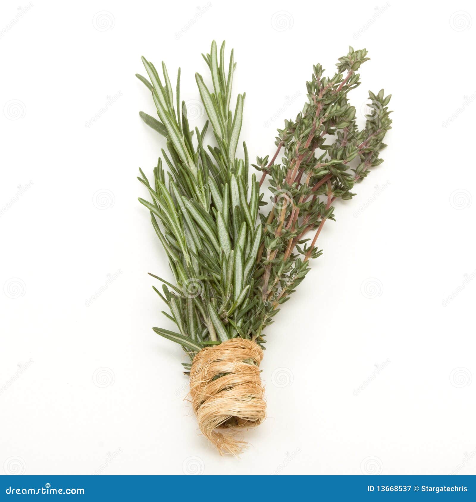 Rosemary n Thyme stock image. Image of green, background 13668537