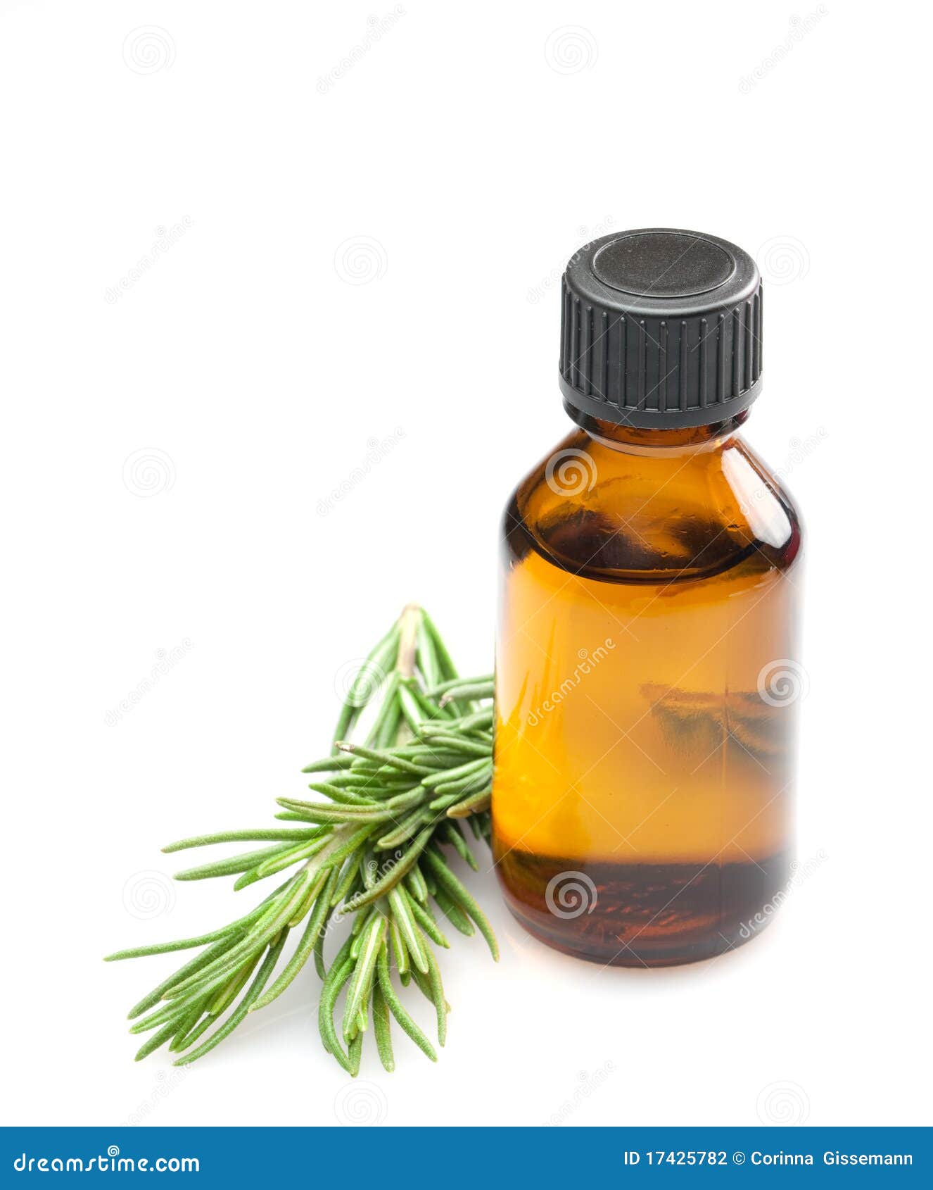 Rosemary oil stock photo. Image of health, essential 17425782