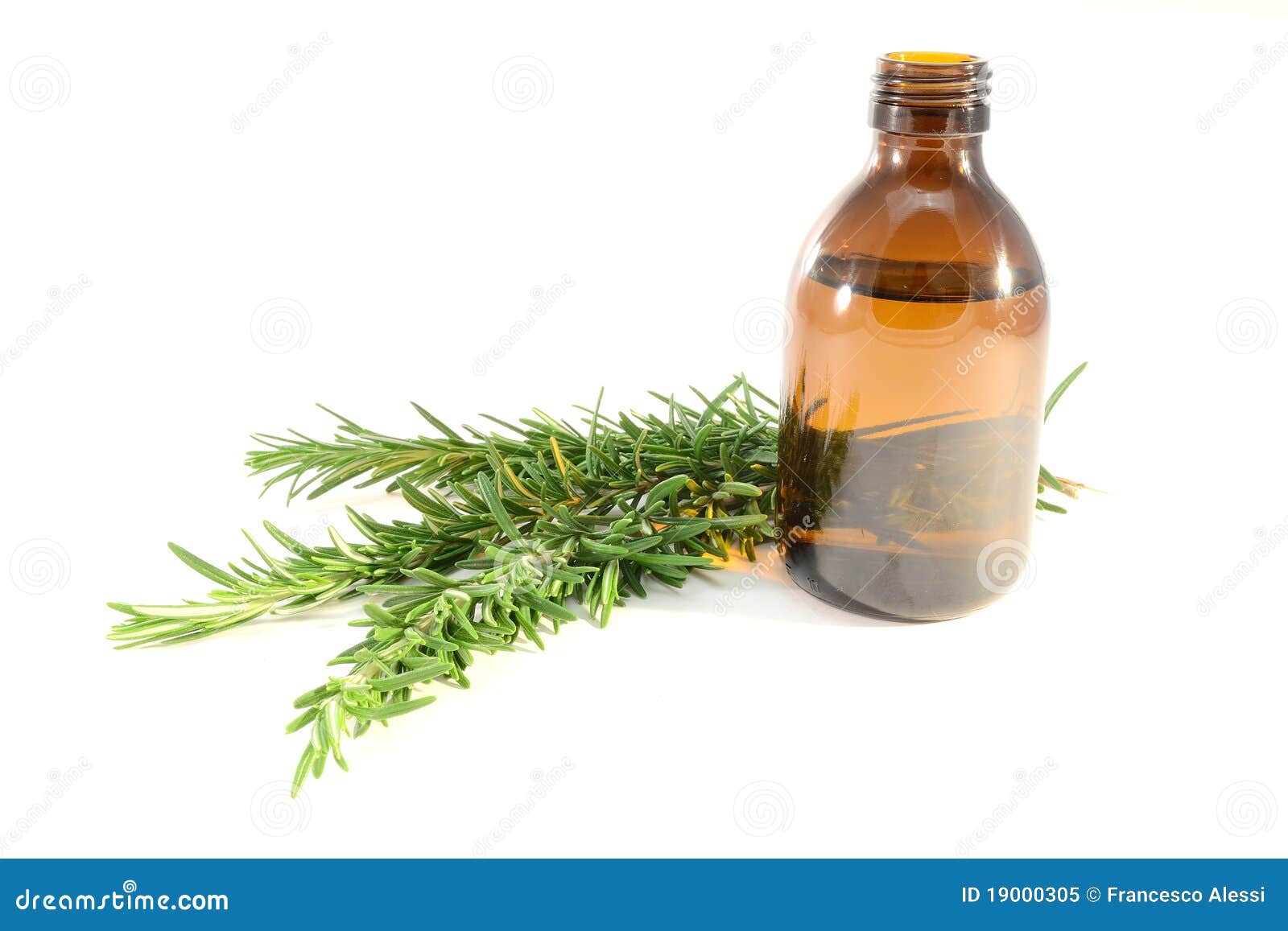 Rosemary Stock Photo CartoonDealer 29113218 rosemary-stock-photo-cartoondealer-29113218
