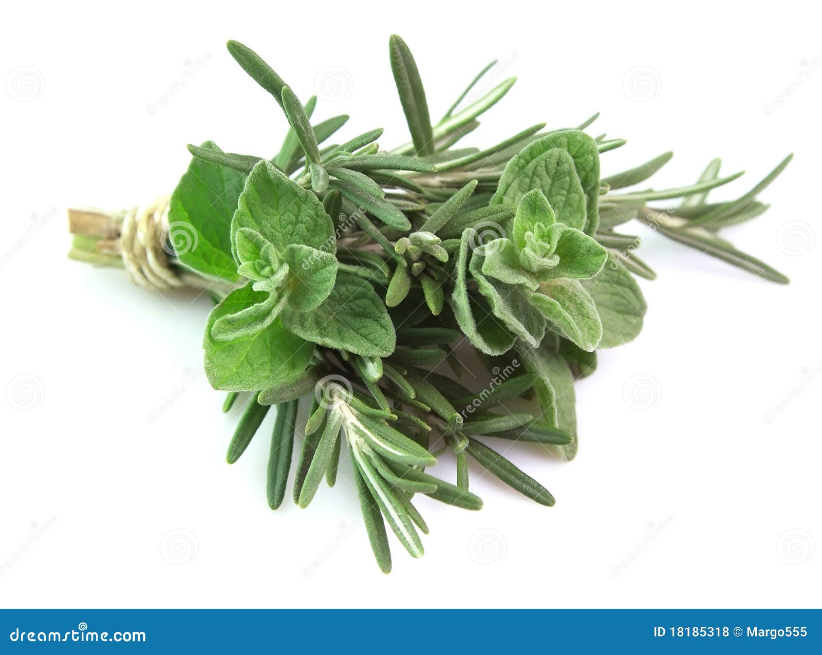 Rosemary and oregano stock photo. Image of aromatic, isolated 18185318