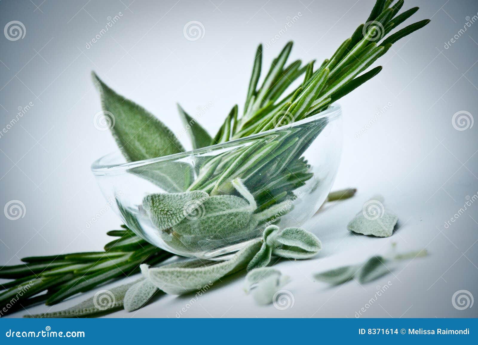 rosemary and sage
