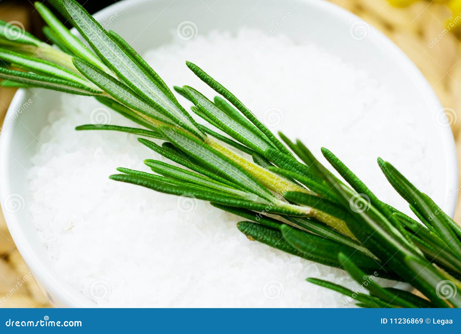 Rosemary with salt bath stock image. Image of beauty 11236869