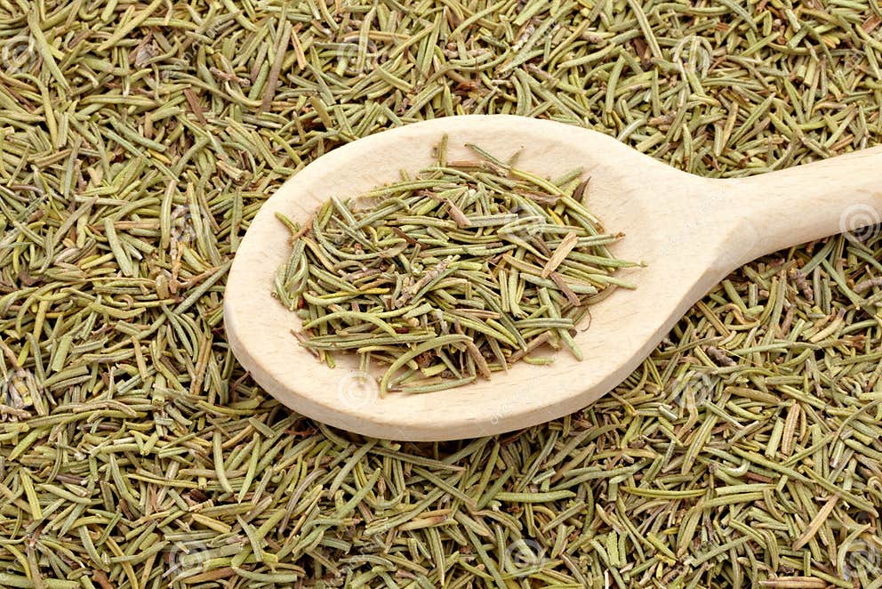 Rosemary seasoning stock photo. Image of flavor, grain 21068498