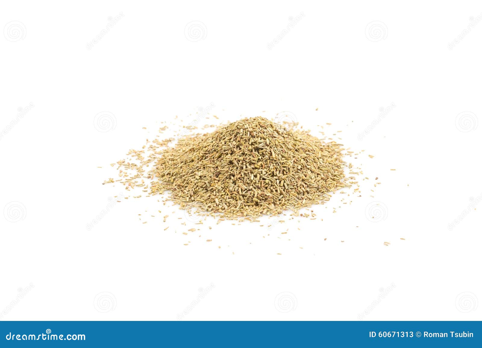 Rosemary Spice Herb Closeup on White Stock Image Image of closeup